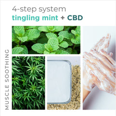 BCL Sugar Scrub - Tingling Mint 16oz