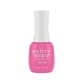 Entity Gel Polish - Sweet Chic .5oz
