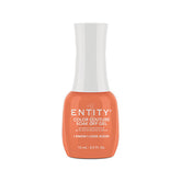 Entity Gel Polish - I Know I Look Good .5oz