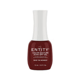 Entity Gel Polish - Seize The Moment .5oz