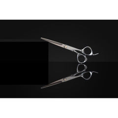 Fromm Transform 6.25" Shear