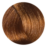 Color Design Ammonia Free - 8.3 - Light Golden Blonde