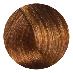 Color Design Ammonia Free - 8.3 - Light Golden Blonde