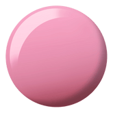 DND Diva - Where's My Beret? #172