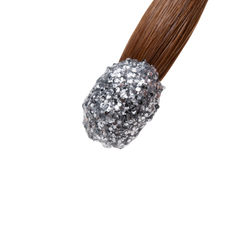 Tammy Taylor Christmas Prizma Powder - Silver Tinsel