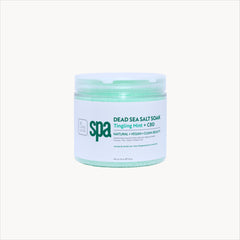 BCL Salt Soak - Tingling Mint 16oz