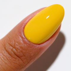 DND DC - Sun Rebels #2516