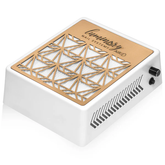 Luminary Aire Dust Collector