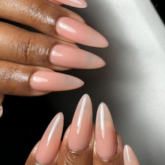 DND - Soft Tulips #866