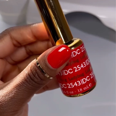 DND DC - Ladybug #2543