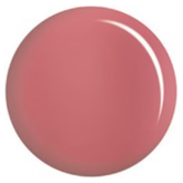 DND DC - Maroon #171