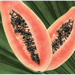 Superfoods Papaya - Frizz Control Shampoo 12oz