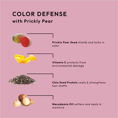 Superfoods Prickly Pear - Color Defense Shampoo 12oz
