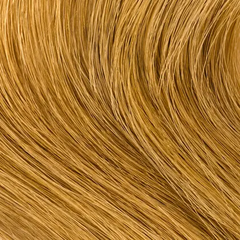 Clairol Beautiful Collection