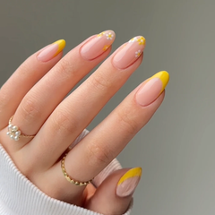 DND DC - Sun Rebels #2516