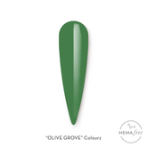 Fuzion UV/LED Colourz - Olive Grove 8gm
