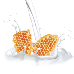 Cuccio Roll On Cuticle Oil Milk & Honey 10ml