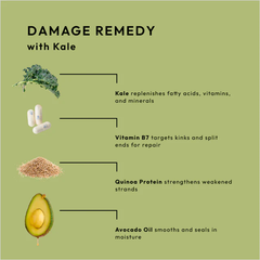 Superfoods Kale - Damage Detox Mask Treatment 8oz