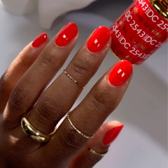 DND DC - Ladybug #2543