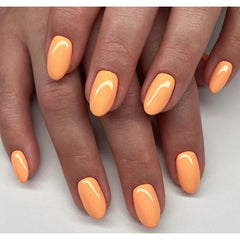 DND DC - Mandarin Glow #2538