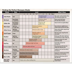 Watercolors Classic Shampoo - Molten Bronze 8.5oz