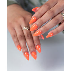 Light Elegance - P+ Trippy Gel Polish - 10ml