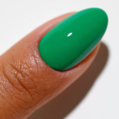 DND DC - Zen Oasis #2525