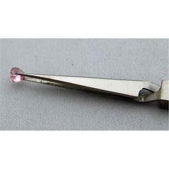 Body Toolz EZ Lock Cross Locking Point Tweezers (BT5030)