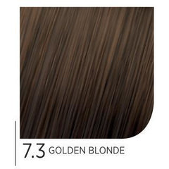 MyColor Permanent Haircolor