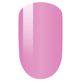 LeChat Perfect Match Duo - Pink Lace Veil