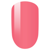 LeChat Perfect Match Duo - Brushed Blush