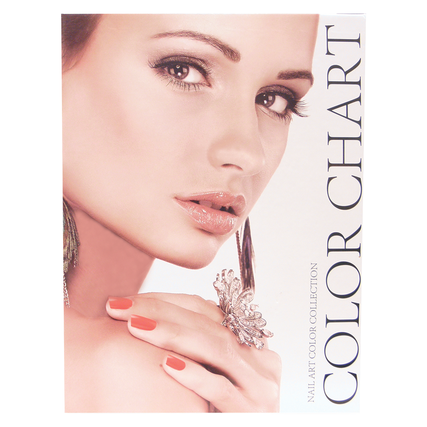 DL Pro Nail Art Color Chart Box - 120pc (DL-C376) Secondary image