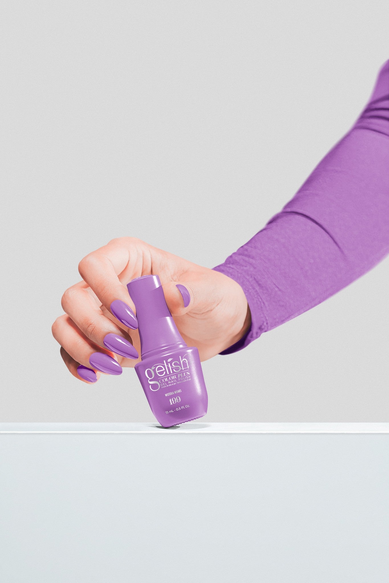 Wisteria Wishes - Iris Purple Crème