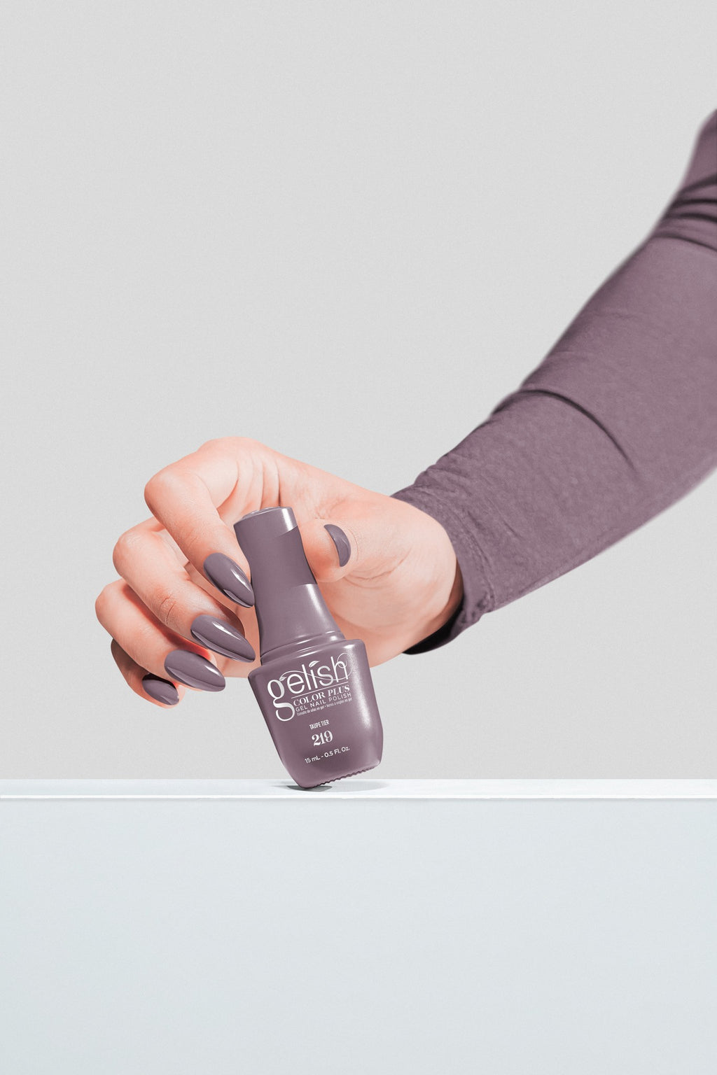 Taupe Tier - Griege Purple Crème