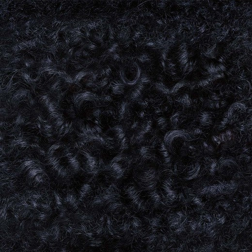 Clairol Professional Zero 1B Black swatch