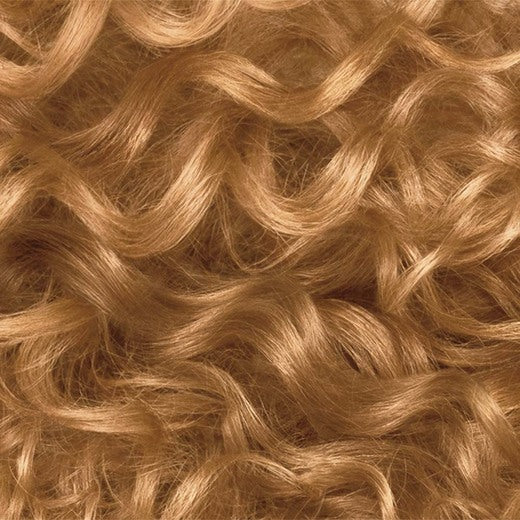 Clairol Professional Zero 6G Dark Gold Blonde swatch
