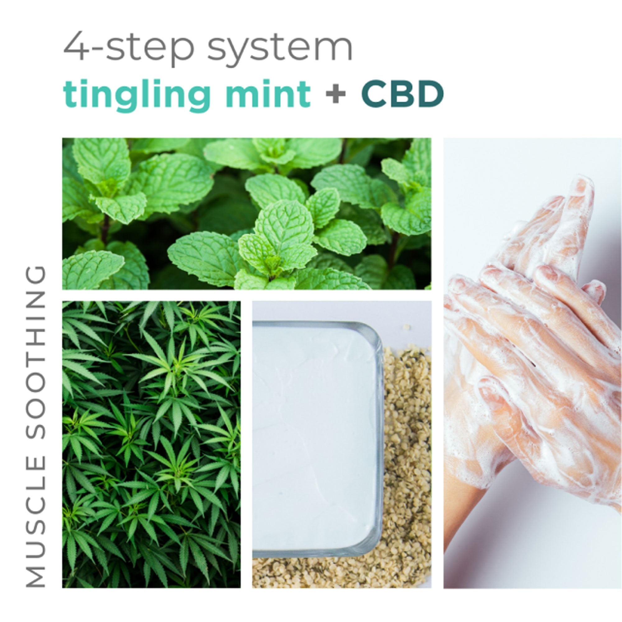 BCL Moisture Mask - Tingling Mint 16oz
