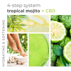 BCL Sugar Scrub - Mojito Mint 16oz