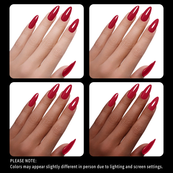 Queen of Everything - Born To Rule collection