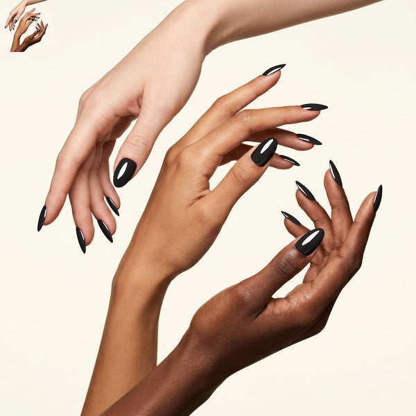 Born To Rule - Born To Rule collection