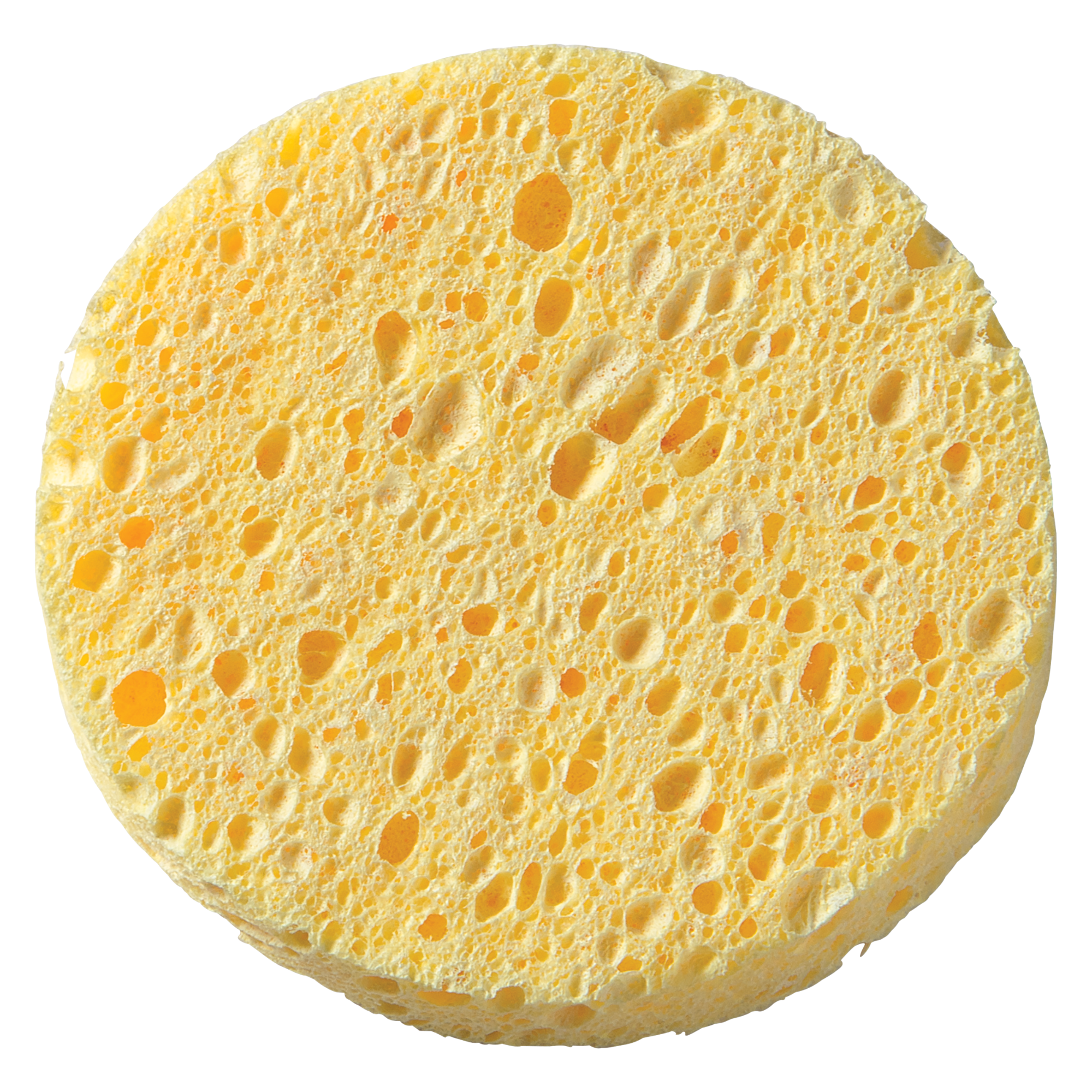 Fantasea Cellulose Cleansing Sponge (FSC276)