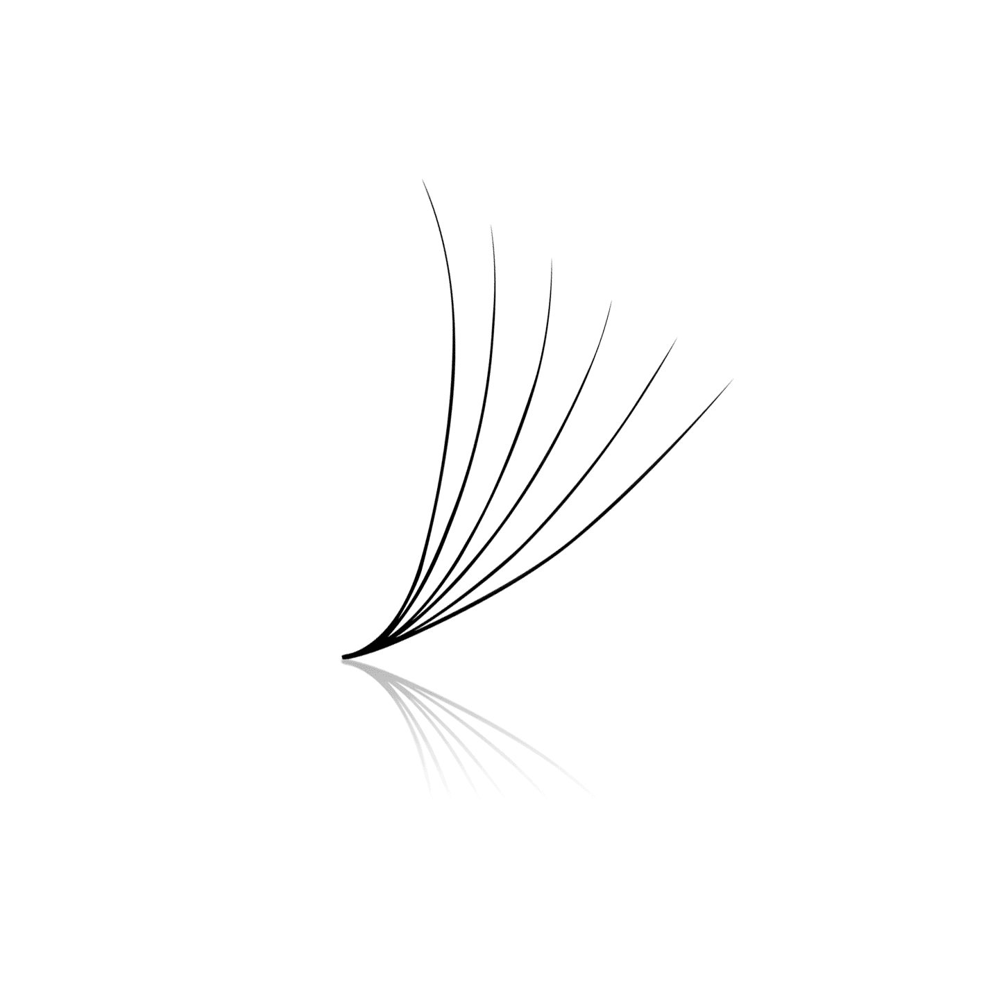 PLA 6D ProMade Loose Fans - 0.07 D Curl
