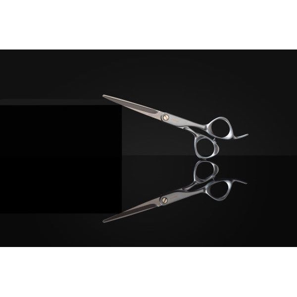 Fromm Transform 6.25" Shear