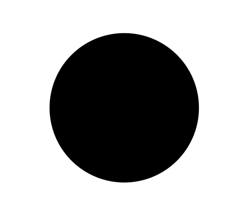 Punky Color Temporary Spray – True Black  (3.5oz)