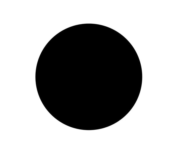 Punky Color Temporary Spray – True Black  (3.5oz)