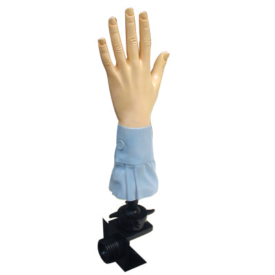 Celebrity Manicure Hand With Holder (BX917) Main image