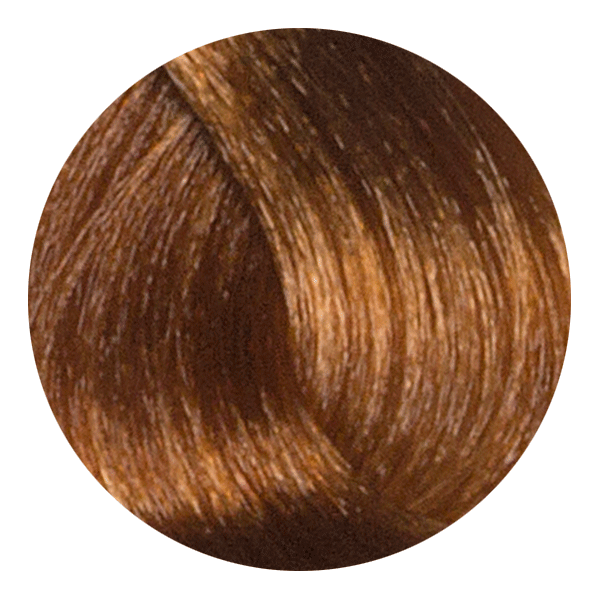 Color Design Ammonia Free - 8.3 - Light Golden Blonde