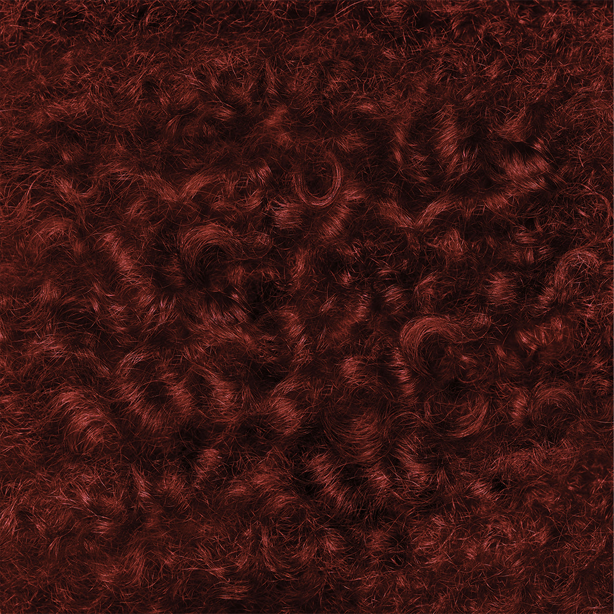 Clairol Professional Zero 4R Light Red Brown swatch