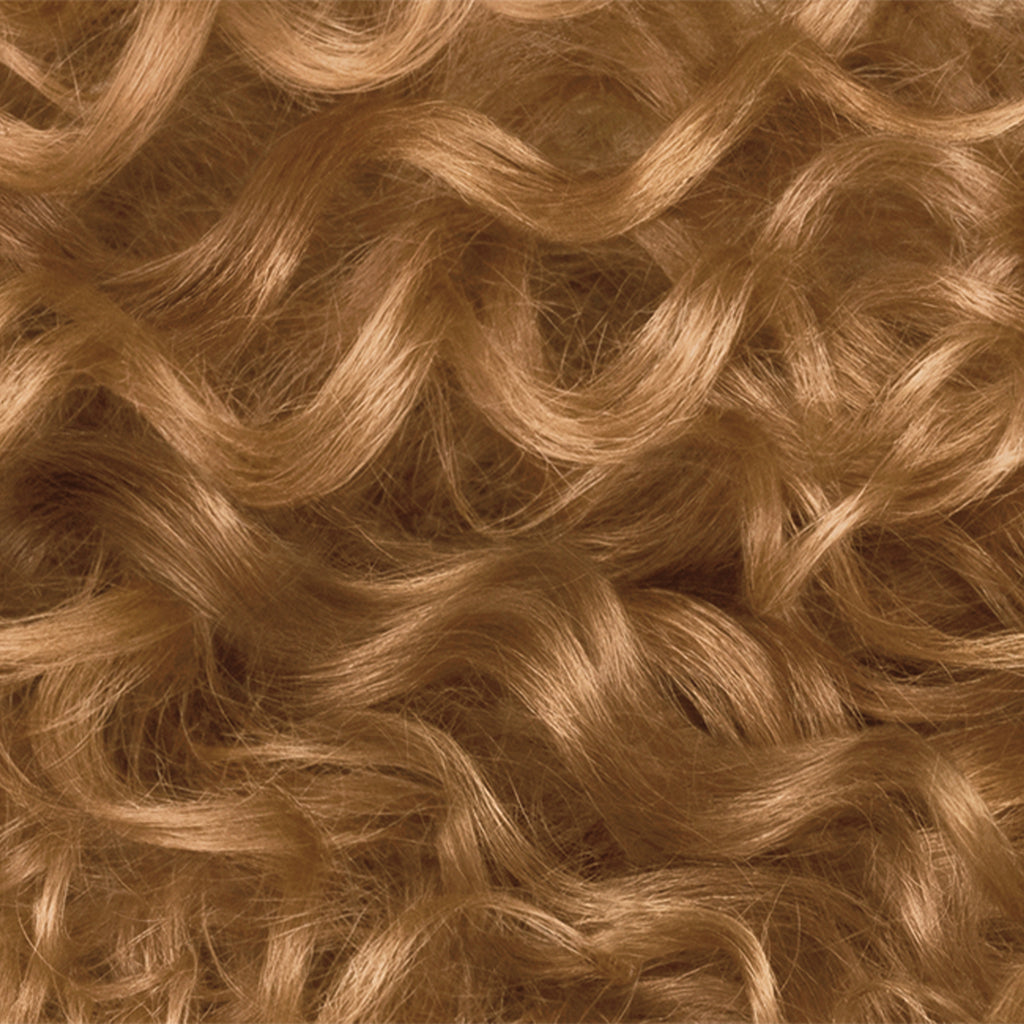 Clairol Professional Zero 6G Dark Gold Blonde swatch