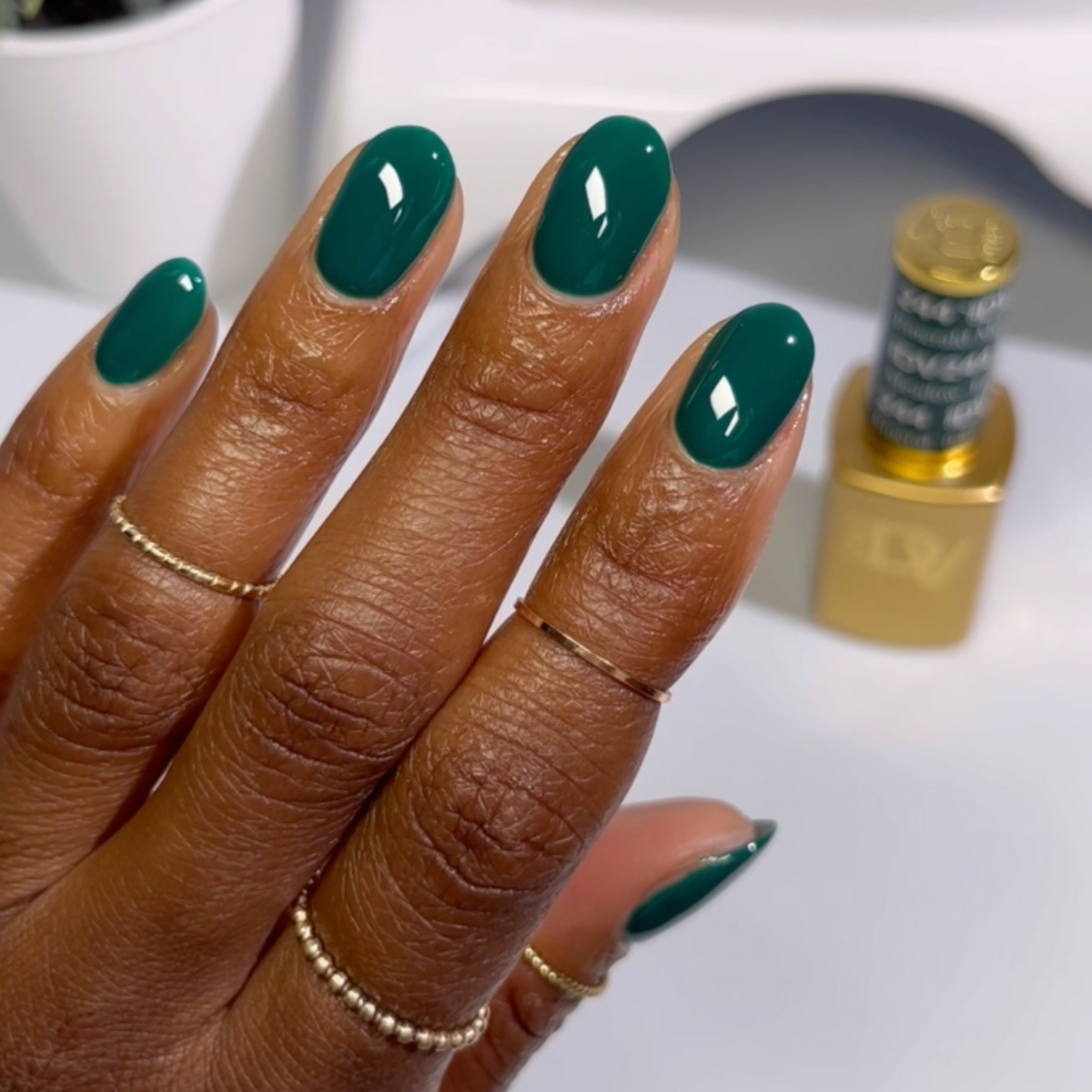 DND Diva - Emerald Meadow #244